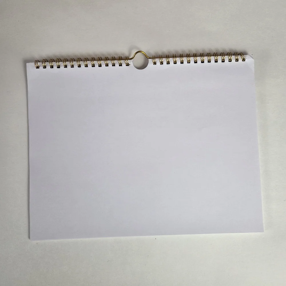 🔥4/$20 Cabbrix 18 Month Wall Calendar NEW -Floral -January 2026-July 2027